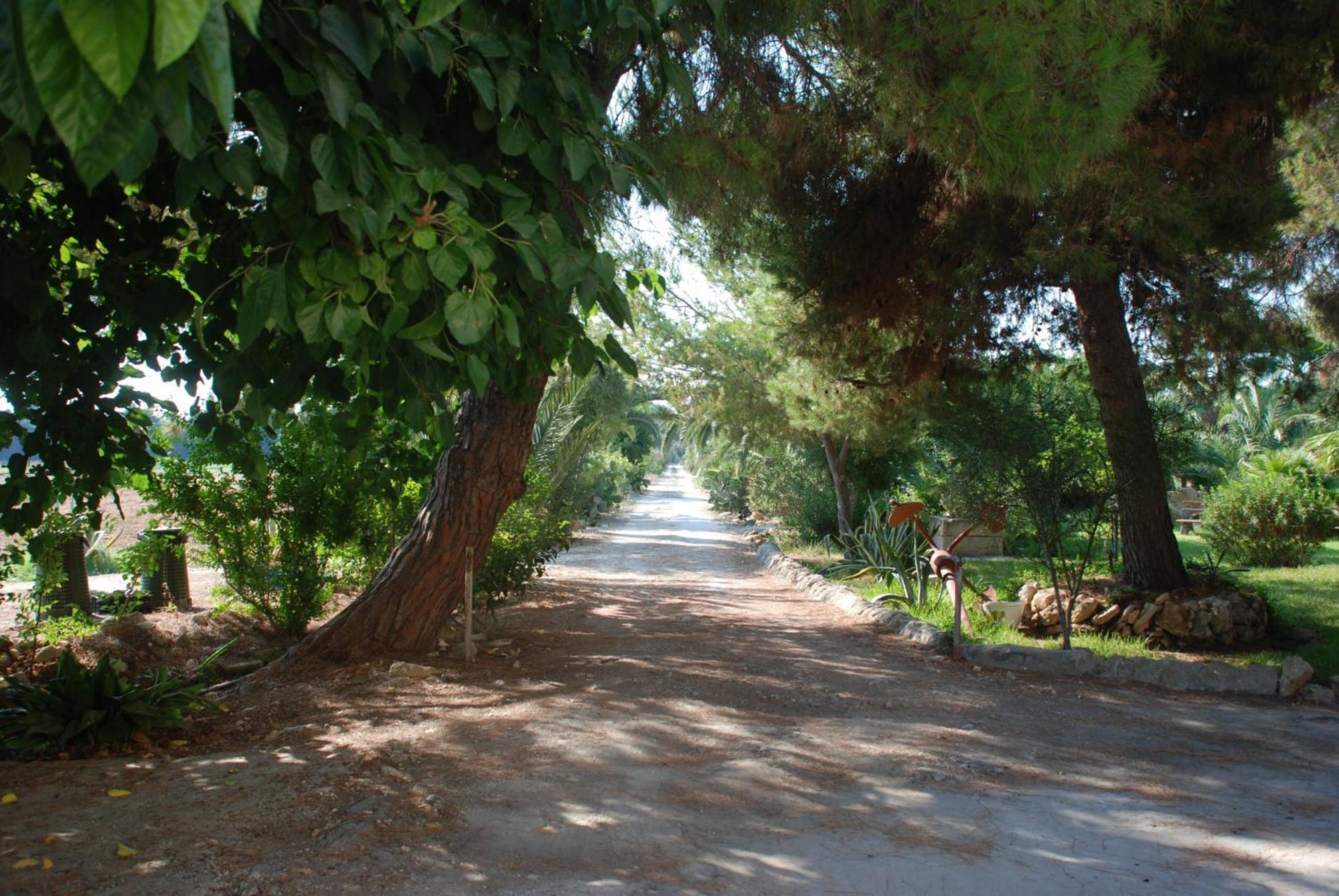 شقة Terrauzza Sul Mare Di Renata Emmolo سيراكوزا المظهر الخارجي الصورة